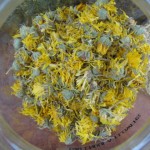 calendulaflowers