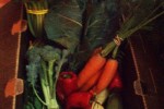 A selection of fresh veggies used in cooking class