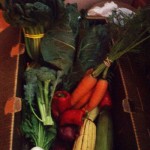 A selection of fresh veggies used in cooking class